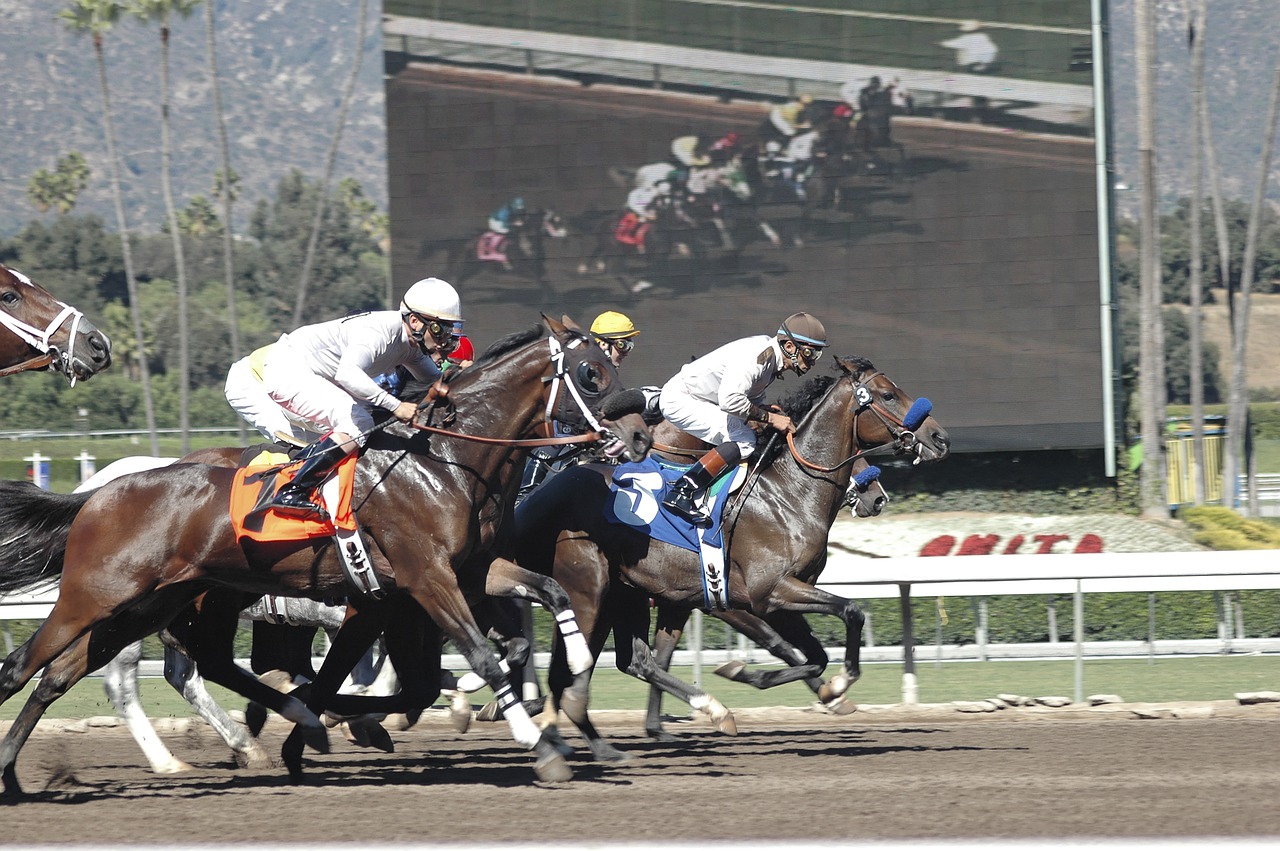 Apuestas de caballos frente a apuestas deportivas: ¿Cuál es la diferencia?